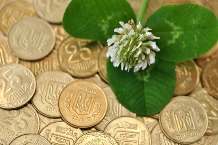 green clover leaf and flower on many golden coinsの写真素材