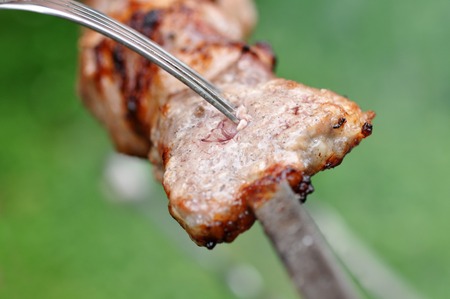 Barbecue Beef Kebabs And Fork, Macroの写真素材