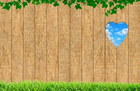 Fresh spring green grass over wood fence backgroundの写真素材