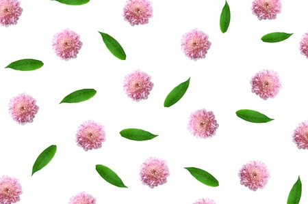 pattern with pink flower buds, branches and leaves isolated on white background. flat lay, top viewの写真素材