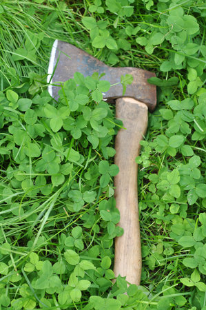 Axe with wooden handle stuck in the lawn with green grass
