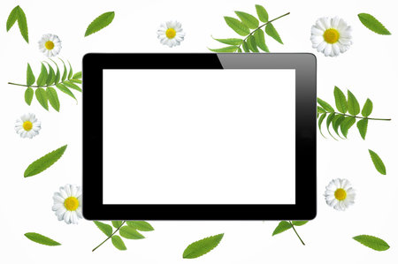 black tablet in frame with chamomiles, green branches and leaves isolated on white background. flat...