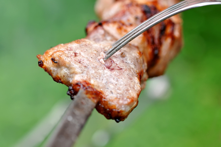 Barbecue Beef Kebabs And Fork, Macroの写真素材