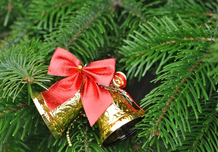 Closeup of Christmas-tree with gold bells and red bow decorationsの写真素材