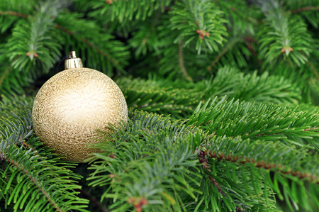 Closeup of Green Christmas-tree and Gold Glitter Ball decorationsの写真素材