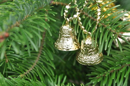 Closeup of Green Christmas-tree and gold bells decorationsの写真素材