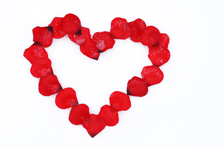 Red rose petal heart with snow on white background, Valentine's Day conceptの写真素材