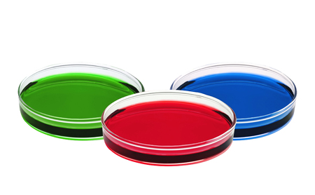 color liquid in petri dishes isolated on white backgroundの写真素材