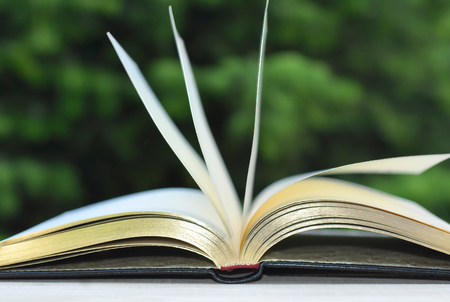 book with open empty golden pages on the table over green nature background outdoorの写真素材