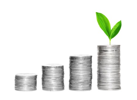 Savings, increasing columns of silver coins and green plant isolated on white backgroundの写真素材