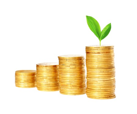 Savings, increasing columns of gold coins and green plant  isolated on white backgroundの写真素材