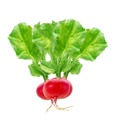 Fresh red radish isolated on whiteの写真素材