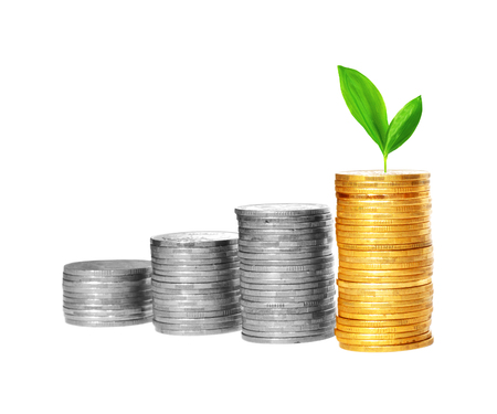Savings, increasing columns of gold and silver coins and green plant isolated on white backgroundの写真素材