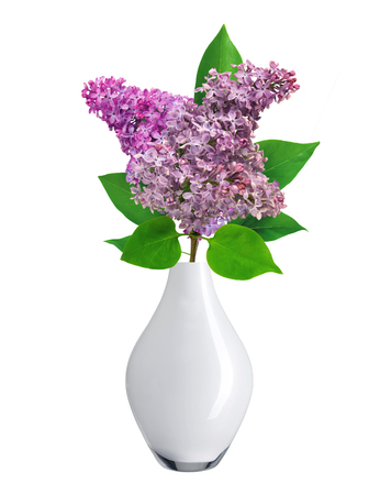 Beautiful Lilac branch in vase isolated on white backgroundの写真素材