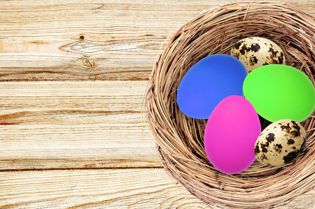 Easter eggs in nest on color wooden backgroundの写真素材