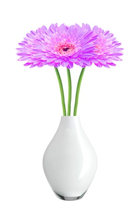 beautiful purple gerbera daisy flowers in vase isolated on white backgroundの写真素材