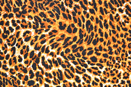 leopard fur as backgroundの写真素材