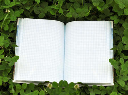 book with open empty white pages on the green clover grass outdoorの写真素材