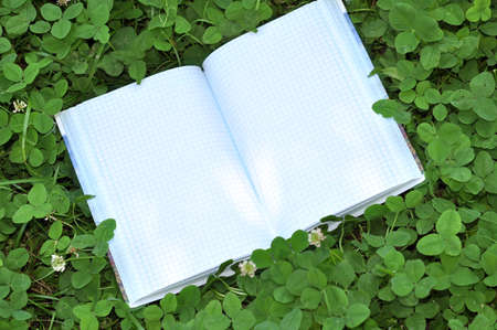 book with open empty white pages on the green clover grass outdoorの写真素材