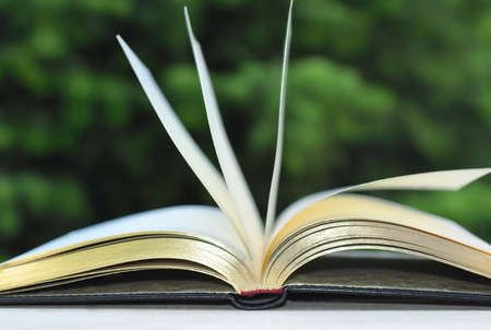 book with open empty golden pages on the table over green nature background outdoorの写真素材