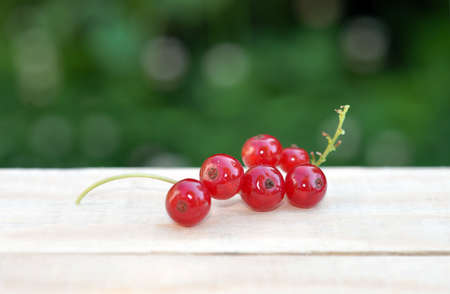 red sweet currant berry on wooden table, summer harvestの写真素材
