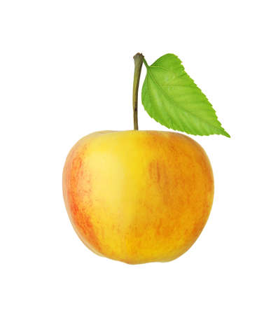Red and yellow apple fruit with green leaf isolated on whiteの写真素材