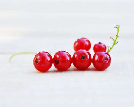 red sweet currant berry with green leaves, summer harvestの写真素材