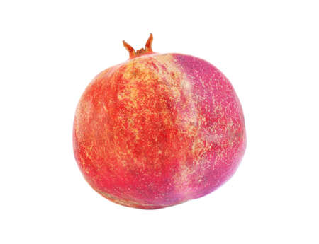 Sweet red big pomegranate fruit isolated on white for designの写真素材