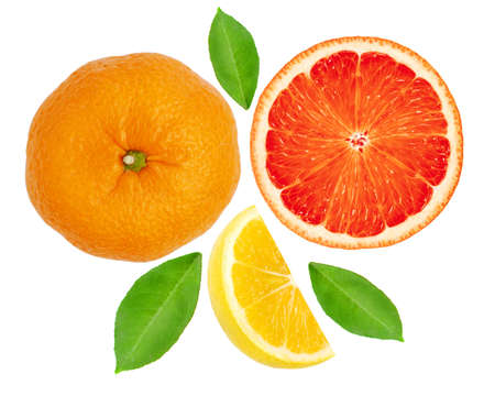 sweet juicy orange, grapefruit and lemon fruits, slices and whole top view isolated on white backgroundの写真素材