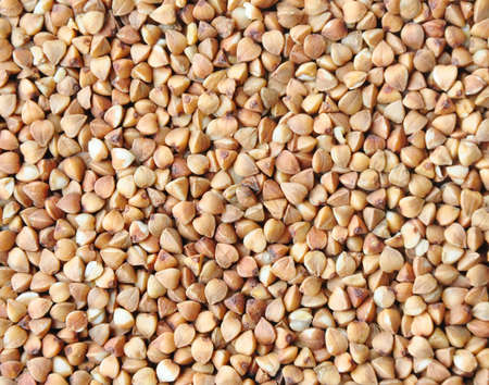 Buckwheat grain food background for designの写真素材