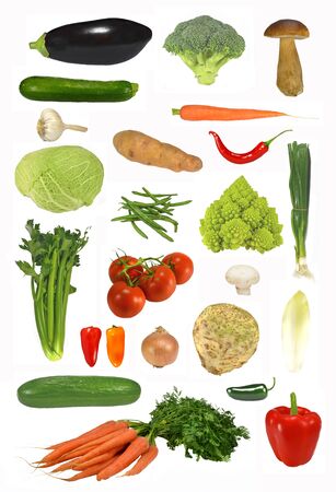 Set of fresh vegetables - isolatedの写真素材