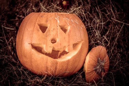 Halloween pumpkin head jack-o-lantern on hay backgroundの写真素材