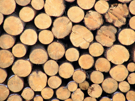 wood background