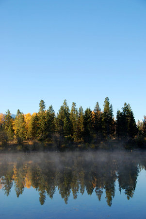 forest mirroringの写真素材