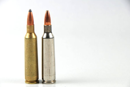 22-250 rem mag