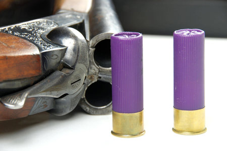 shootgun and ammunition