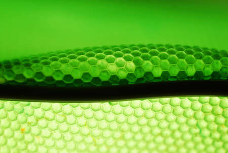 marco shot of a bee hive shaped background in greenの写真素材