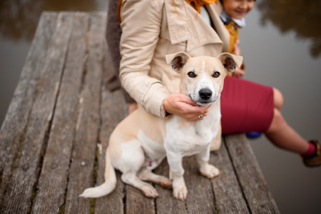 Close up portrait of a family on a walk with their dog