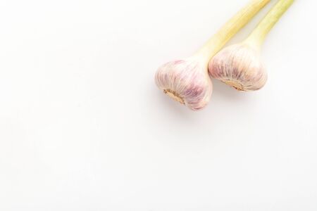 Two garlic with a stem on a white isolated backgroundの写真素材