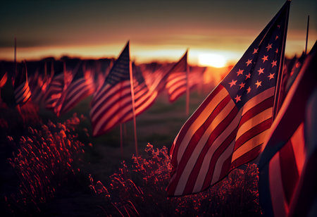 Field of American flags at Sunsetの素材