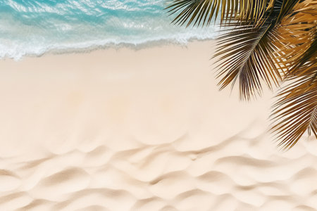 Tropical beach background with white sand, palm tree shadows,summer holiday background. Travel and beach vacation, copy space for text. top viewの素材