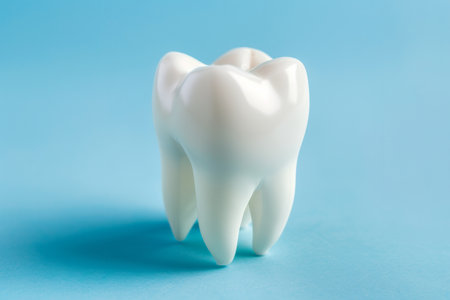 a dental model with a pristine white tooth, set on a blue background. Emphasis on dental anatomy and careの素材