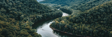 a drone view of a river winding through a dense forest with kayakers exploringの素材