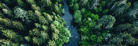 a drone view of a river winding through a dense forest with kayakers exploringの素材