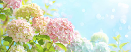 Whimsical spring background with blooming hydrangeas, pastel colors, and a light blue sky.の素材