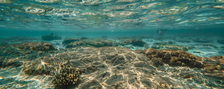 Underwater background with an expansive view of the ocean floor and gentle waves.の素材