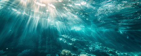 Underwater view of the coral reef with sun rays and lens flareの素材