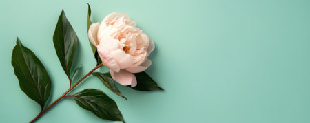 Mother's Day background with a simple, elegant design featuring a single peony and soft green leaves.の素材