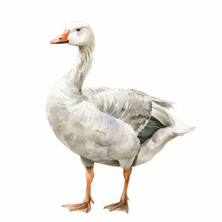 A gentle goose with a serene look, rendered in soft watercolor shades, beautifully isolated on a pristine white backgroundの素材