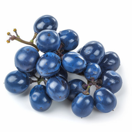 A bunch of fresh, sweet Oregon grape berries with a dark blue color, isolated on white backgroundの素材